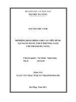 Mở rộng hoạt động cho vay tiêu dùng tại ngân hàng TMCP phương nam   chi nhánh đà nẵng 