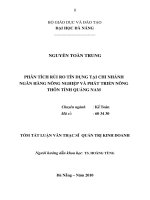 Phân tích rủi ro tín dụng tại chi nhánh ngân hàng nông nghiệp và phát triển nông thôn tỉnh quảng nam 