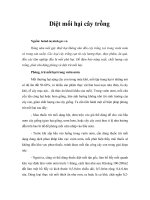 Diệt mối hại cây trồng