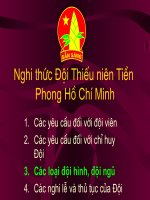 Tài liệu Tập huấn nghi thức đội