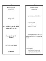 Nâng cao chất lượng tăng trưởng kinh tế tỉnh quảng nam 