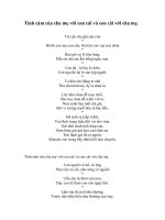 Tình cảm của cha mẹ với con cái và con cái với cha mẹ.