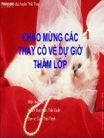 Bài soạn BÀI GIẢNG HÓA HỌC 9