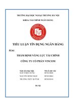 THẨM ĐỊNH NĂNG LỰC TÀI CHÍNH  CÔNG TY CỔ PHẦN VINCOM