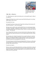 “Điên”, điếc... vì tiếng còi xe