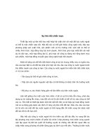 Sự liên kết chiến lược