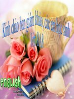 Bài soạn English8-U5-Read