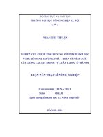 Nghiên cứu ảnh hưởng bổ sung chế phẩm sinh học WEHG đến sinh trưởng, phát triển và năng suất của giống lạc l14 trong vụ xuân tại ba vì   hà nội 