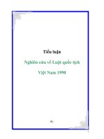 Tiểu luận: Một số vấn đề xoay quanh dự thảo sửa đổi Luật quốc tịch Việt Nam 1998