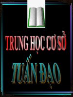 Bài soạn bảo vệ môi trường