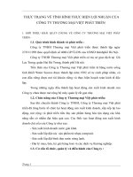 THỰC TRẠNG VỀ TÌNH HÌNH THỰC HIỆN LỢI NHUẬN CỦA CÔNG TY THƯƠNG MẠI VIỆT PHÁT TRIỂN