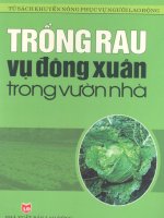 Trồng rau vụ Đông Xuân trong vườn nhà
