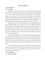 Bài soạn SKKN SỬ DỤNG ĐDDH TRONG MÔN GDCD