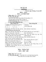 Bài soạn Giáo án lớp 1- 2 buổi tuần 15(Fon VINI)