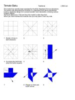 Nghệ thuật xếp hình Nhật Bản: tematebaku