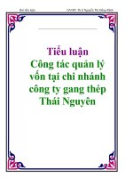 Tiểu luận: Tổ chức công tác kiểm toán
