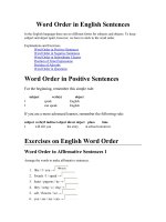 Tài liệu WORD ORDER