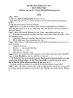 Bài soạn Đề thi HSG Tiếng Việt 2