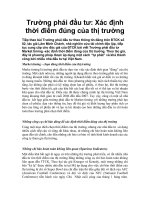 Trường phái đầu tư: Xác định thời điểm đúng của thị trường