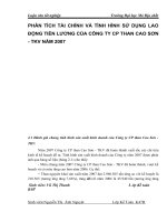 PHÂN TÍCH TÀI CHÍNH VÀ TÌNH HÌNH SỬ DỤNG LAO ĐỘNG TIỀN LƯƠNG CỦA CÔNG TY CP THAN CAO SƠN