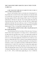 THỰC TRẠNG PHÁT TRIỂN  KINH TẾ TƯ BẢN TƯ NHÂN  Ở NƯỚC TA HIỆN NAY