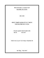 Phát triển kinh tế tư nhân thành phố đà nẵng 
