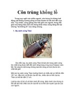 Bài soạn Côn trùng khổng lồ
