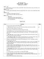 Bài giảng Đề thi tin học khối 12 học kỳ I