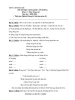 Bài giảng Đề thi HSG_Tiếng Việt_lớp 4