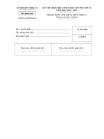 Bài giảng Đề HSG Tỉnh Nghệ an 2010-2011(Bảng A)