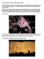 Tài liệu 10 phát hiện ấn tượng nhất trong năm 2010