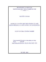 Luận văn đánh giá và tuyển chọn một số dòng lúa mới kháng bệnh bạc lá, chất lượng cao tại hải dương 