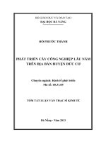 Phát triển cây công nghiệp lâu năm trên địa bàn huyện đức cơ 