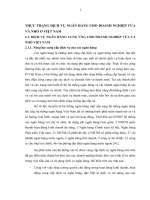 ThỰc trẠng dỊch vỤ ngân hàng cho DOANH NGHIỆP VỪA VÀ NHỎ Ở ViỆt nam