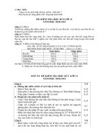 Bài soạn Đề KT hkì I địa lí 11 chuẩn