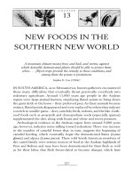 NEW FOODS IN THE SOUTHERN NEW WORLD