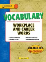 Vocabulary workplace and career 