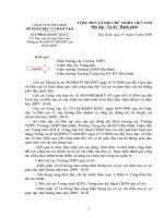 Gián án bao cao thuc hien tt 09