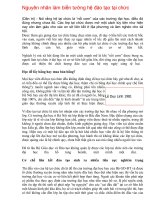 Tài liệu Nguyên nhân làm biến tướng hệ đào tạo tại chức