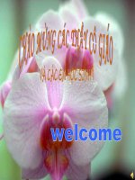 Tài liệu Bài tập: Các quy tắc xác suất