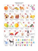 Gián án Từ điển hình ảnh Anh Việt