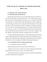 CÔNG TÁC QUẢN LÝ RỦI RO TẠI VPBANK CHI NHÁNH ĐÔNG ANH