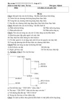 Gián án Đề kiểm tra tin lớp 6