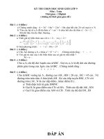 Bài giảng Đề thi tuyển Học sinh giỏi_Toán 9