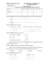 Bài giảng De kiem tra dinh ky cuoi ky I lop 5 nam hoc 2010-2011