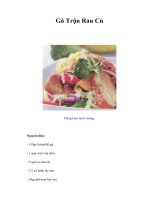Gà Trộn Rau Củ
