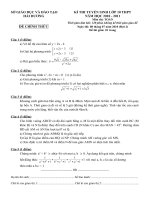 Bài soạn De-DA-Toan Lop10 HDuong 2010(Dot2)