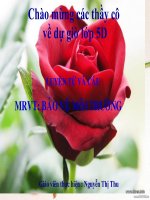 Bài giảng LTVC : MRVT : Bảo vệ môi trường