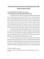 CÁC BIỆN PHÁP BẢO ĐẢM NÂNG CAO HIỆU QUẢ PHÁP LUẬT THUẾ GIÁ TRỊ GIA TĂNG