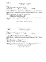 Bài soạn Đề kiểm tra học kỳ II hóa 8